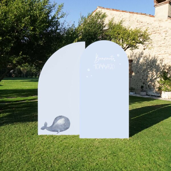 PANNELLO SFONDO - immagine 4